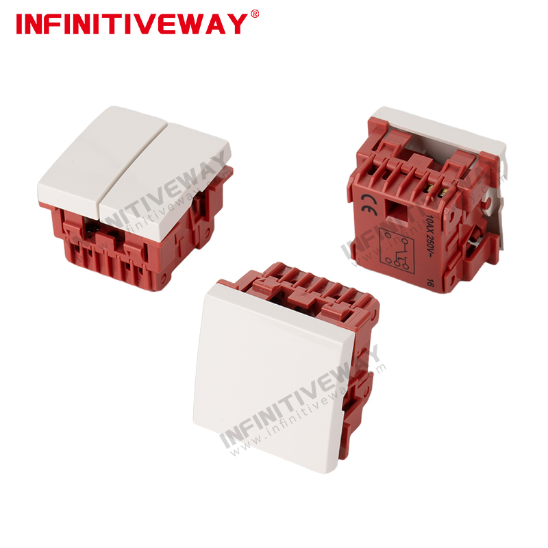 45*45 2P Switch Module